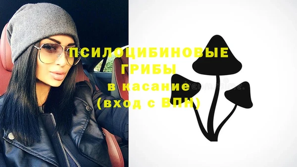 эйфоретик Арсеньев