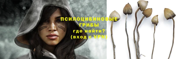 не бодяженный Аркадак