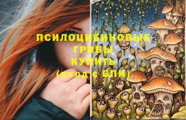 шишки Алексеевка